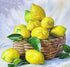 Lemons Basket
